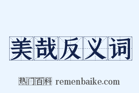 美哉反义词是什么意思的图片